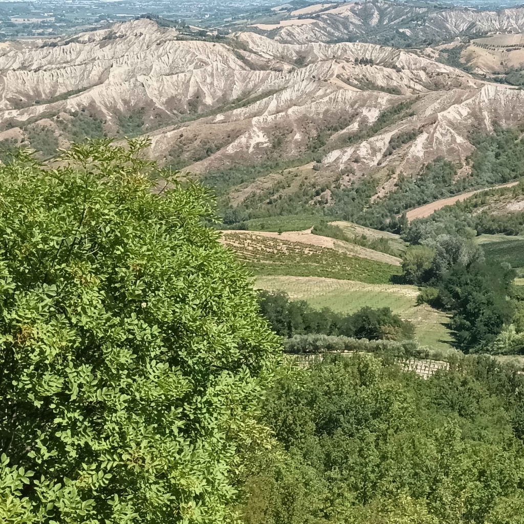 Panorama delle colline Romagnole