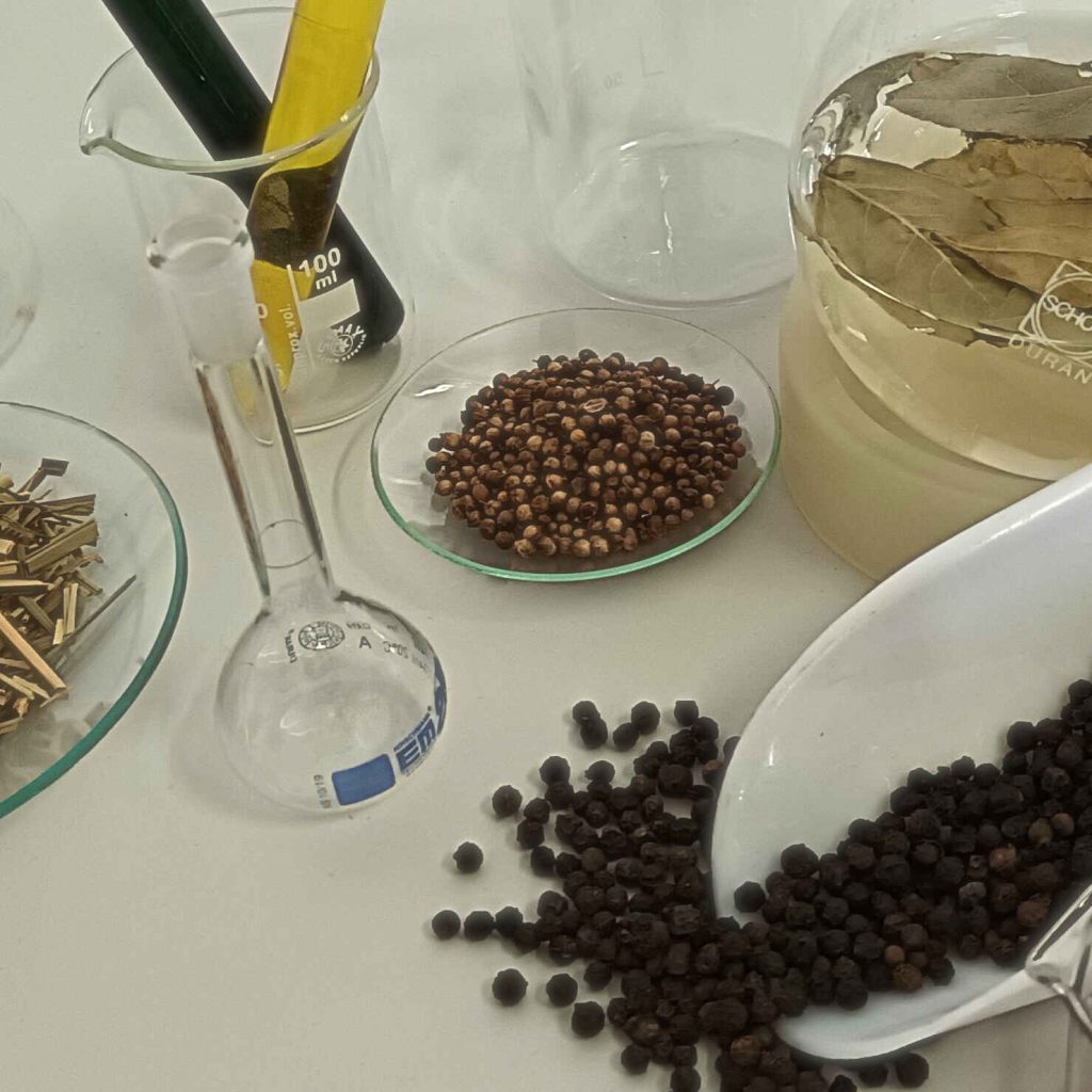 Materie prime naturali contenute in alcuni contenitori da laboratorio